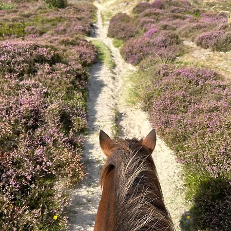 Meerblick Cafe Reiten Spielplaetze Animation Wlan Апартаменты