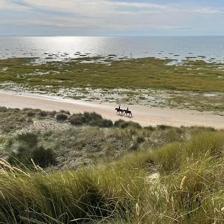 Meerblick Cafe Reiten Spielplaetze Animation Wlan Фанё